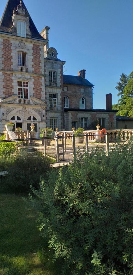 Chateau De Rocheux Freteval エクステリア 写真