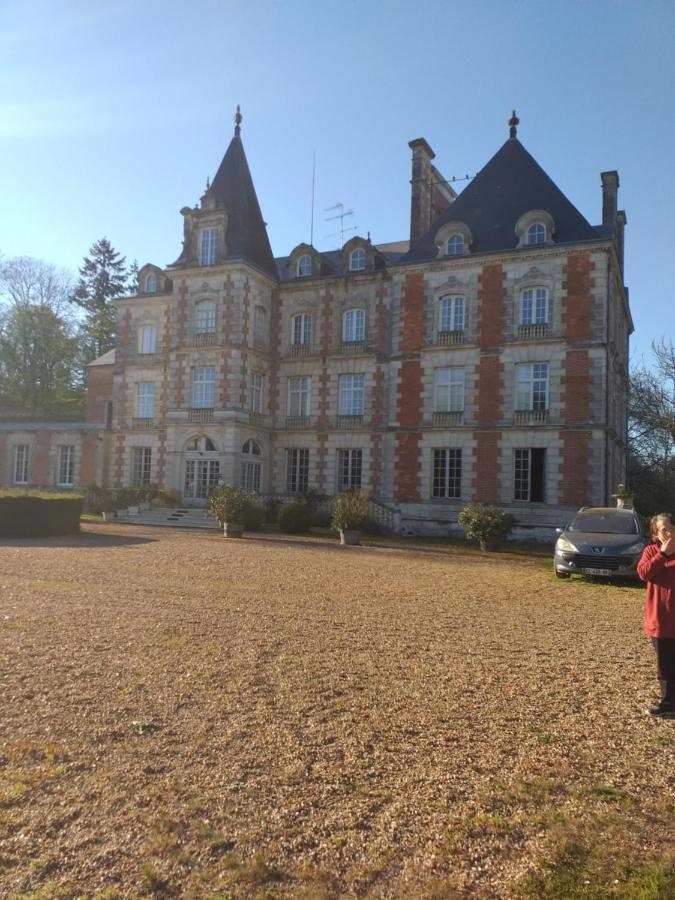 Chateau De Rocheux Freteval エクステリア 写真